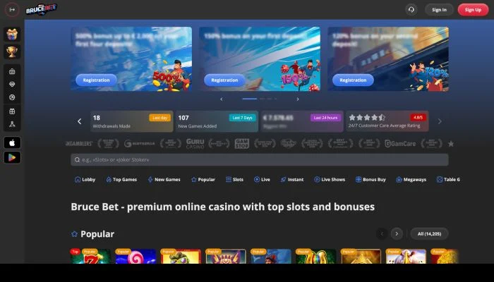 BruceBet Casino — screenshot