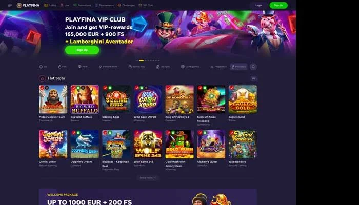 Playfina Casino — screenshot