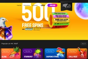 Mr Wolf Slots Casino — screenshot